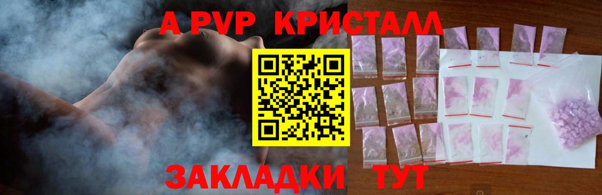 Alfa_PVP СК КРИС Аша