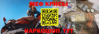 стаф Аргун
