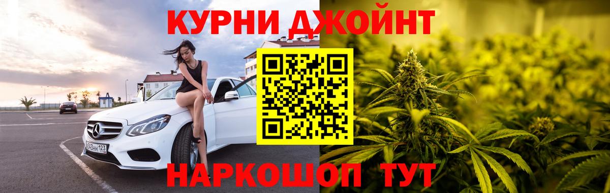 Каннабис планчик Аша
